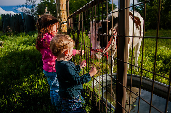 Wheeler Farm-2218
