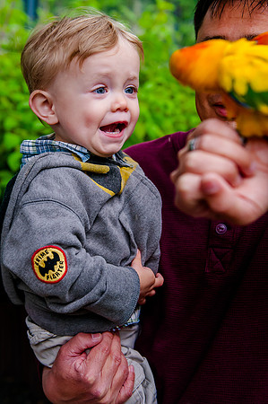 Family Outing at Tracey Aviary-1718