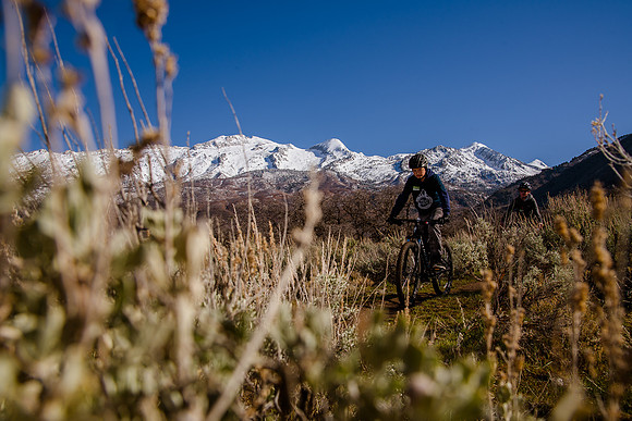 Velo 202138254