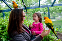Family Outing at Tracey Aviary-1528