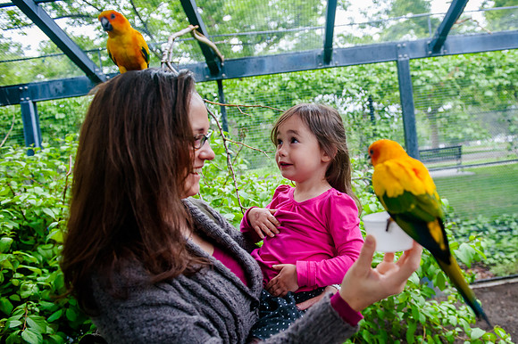Family Outing at Tracey Aviary-1528