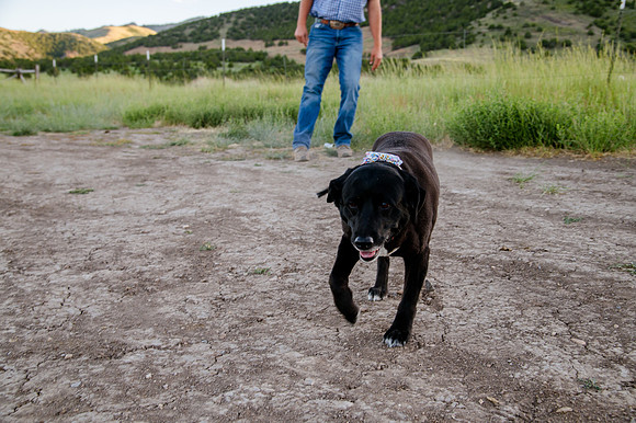 Lund Family Photo Session: Capturing Memories in the West Utah Desert at Sunset