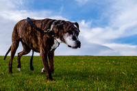 Stark_DSC0221