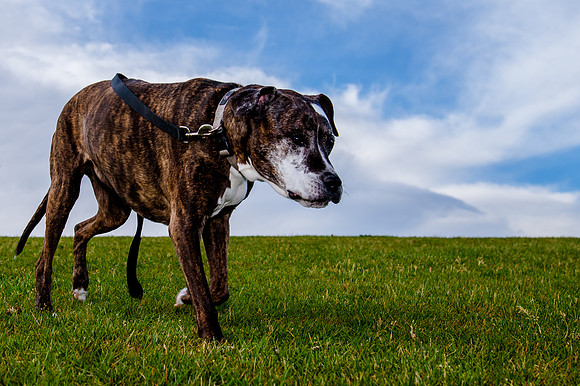 Stark_DSC0221