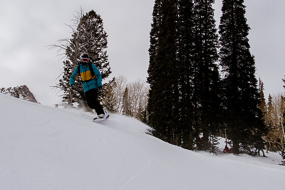 Freeride Snowbasin91196