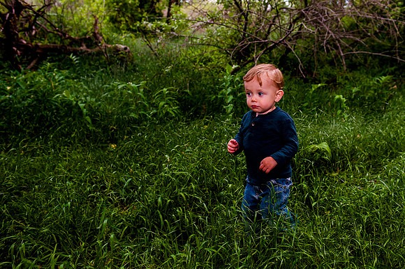 Wheeler Farm-2351