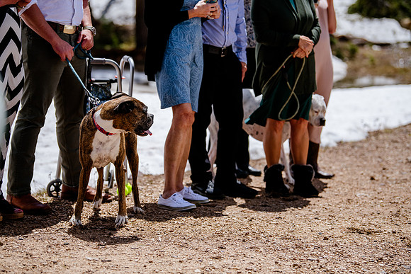 now in June: Megan Collins and Seth Underwood's Mountain Wedding