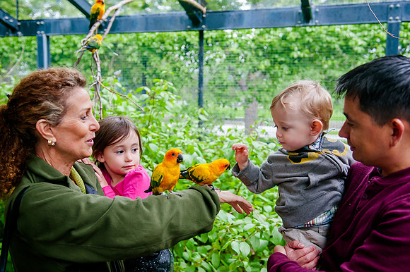 Family Outing at Tracey Aviary-1684