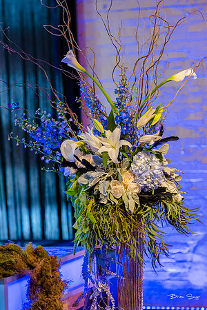 George and Jana's wedding at Monaco Hotel and Pierpont Place-2266