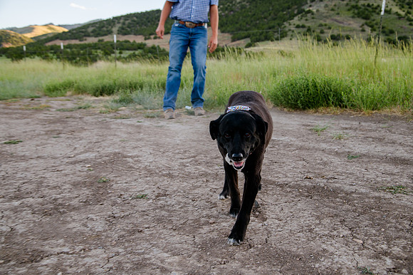 Lund Family Photo Session: Capturing Memories in the West Utah Desert at Sunset
