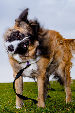 Stark_DSC0444