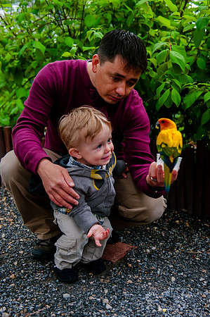 Family Outing at Tracey Aviary-1520
