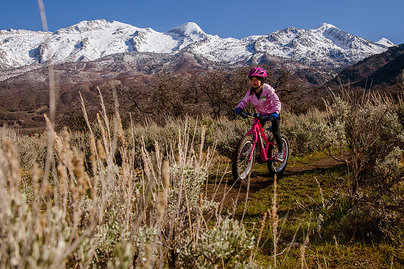 Velo 202138243