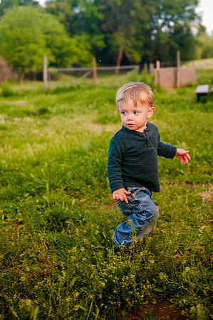 Wheeler Farm-2889