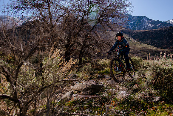Velo 202138412