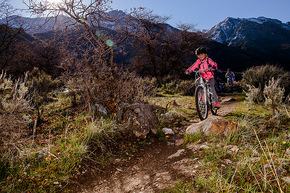 Velo 202138204