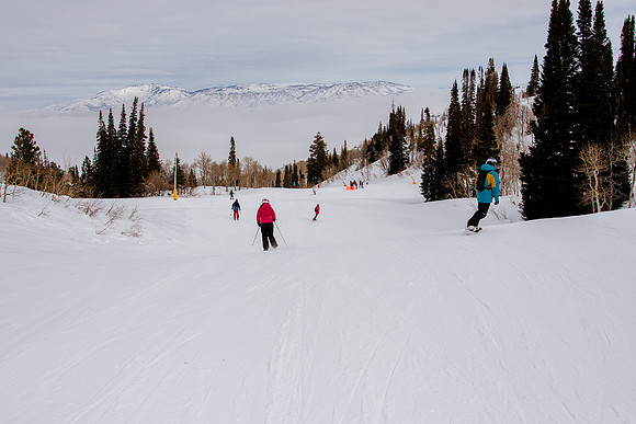 Freeride Snowbasin91206