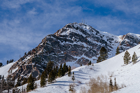 Freeride Snowbasin91081