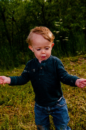 Wheeler Farm-2781