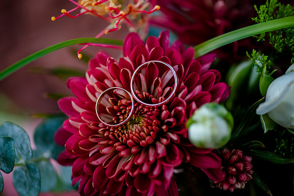 _DSC7050