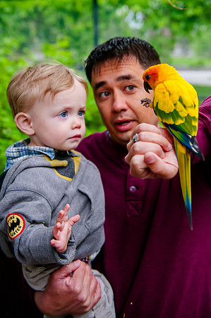 Family Outing at Tracey Aviary-1712