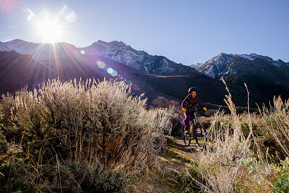 Velo 202138144