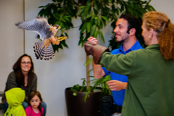 Family Outing at Tracey Aviary-2025