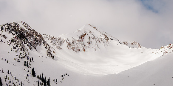 Snowbird