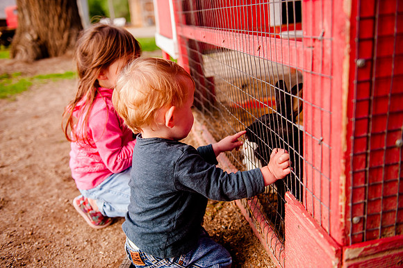 Wheeler Farm-2923