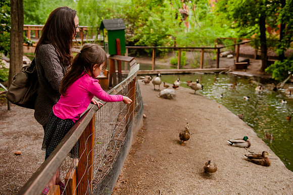 Family Outing at Tracey Aviary-1810