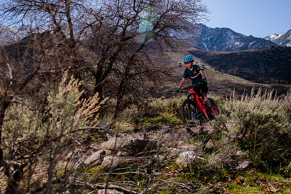 Velo 202138415