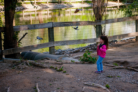 Wheeler Farm-2102