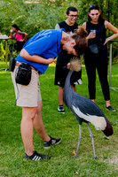 Birdlesquel128100