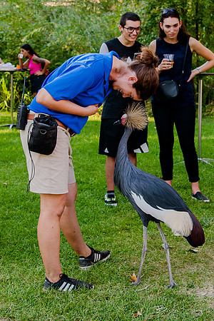 Birdlesquel128100