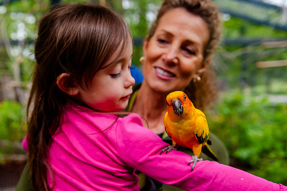 Family Outing at Tracey Aviary-1742