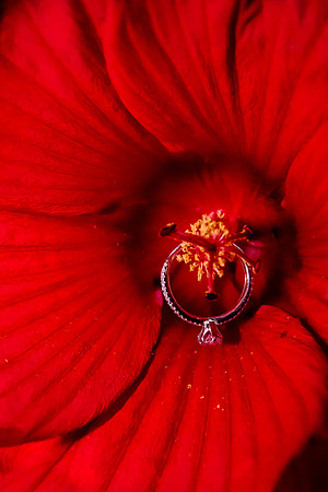 Cody Proposes at Red Butte Garden-8602