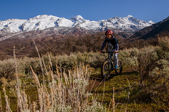 Velo 202138242