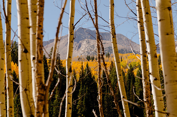 One Year of Skateboarding: A Road Trip Through Colorado’s Skate Parks and Scenic Wilderness