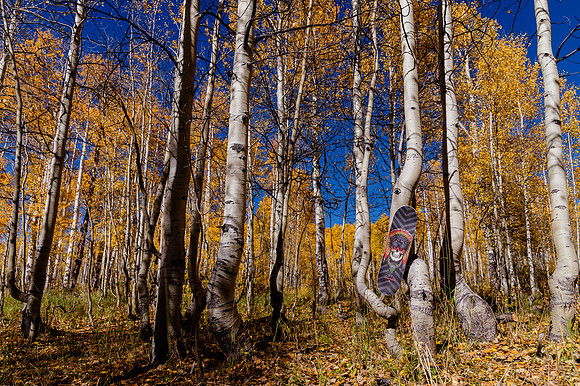 One Year of Skateboarding: A Road Trip Through Colorado’s Skate Parks and Scenic Wilderness