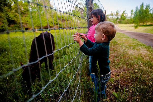 Wheeler Farm-2831