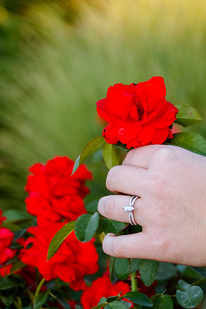 Cody Proposes at Red Butte Garden-8199