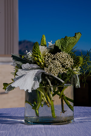 Pierpont Place Wedding at Natural History Museum 8936