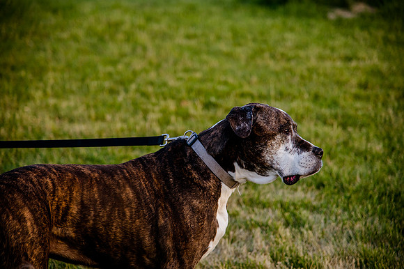 Stark_DSC1620