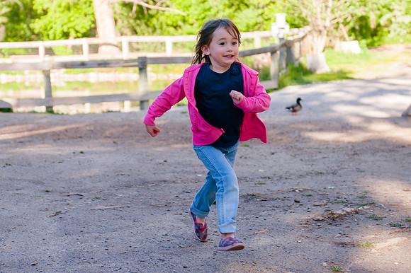Wheeler Farm-2106