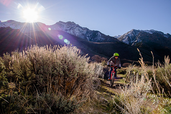 Velo 202138143