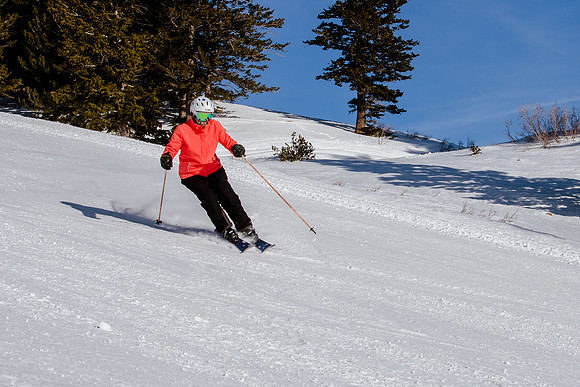Freeride Snowbasin90694