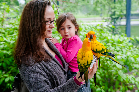 Family Outing at Tracey Aviary-1555