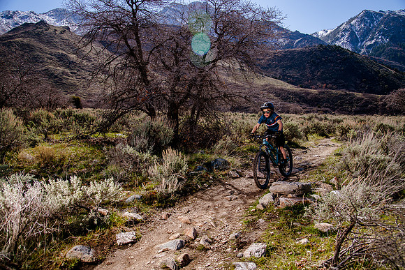 Velo 202138441