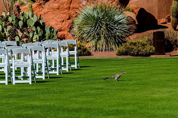 Wedding at Entrada29885
