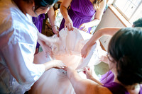 Wedding -5863